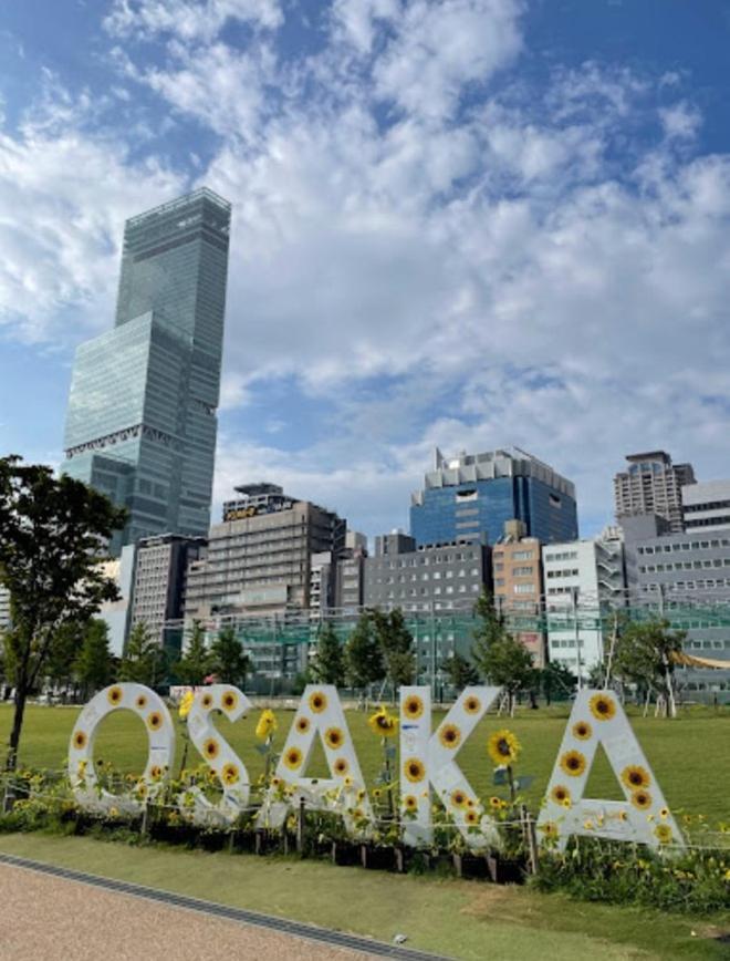 403호 시텐노지역앞 츠텐카쿠 아베노 하루카스 스파월드 난바근접 アパート